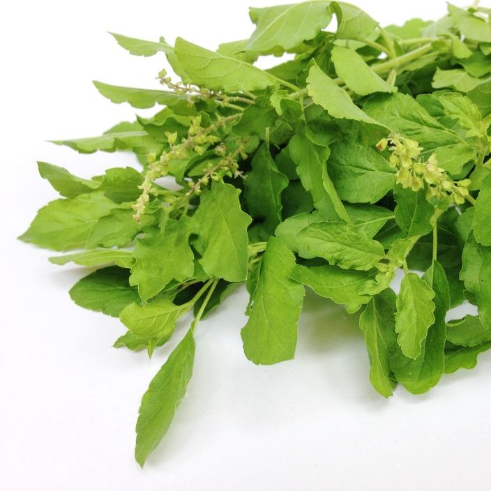 Tulsi Green Tea - ZYANNA® India - zyanna.com